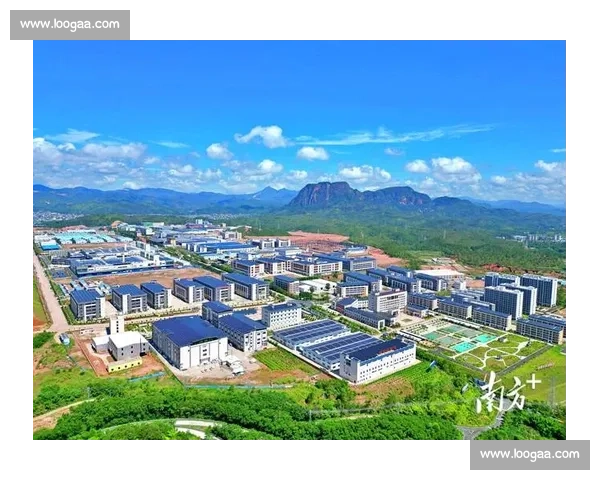 以协同发展为引领推动区域产业创新融合高质量发展新格局